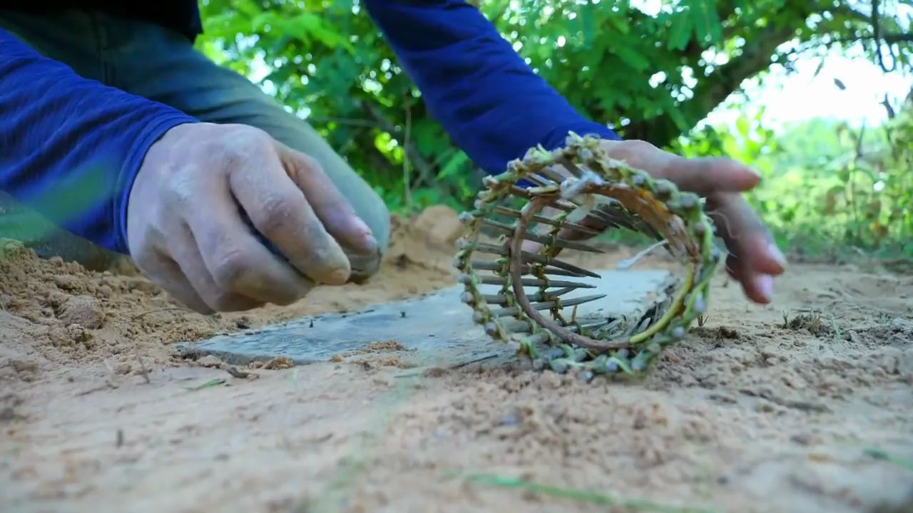 【歪果仁抓蛇】使用工具制造陷阱捕捉蟒蛇