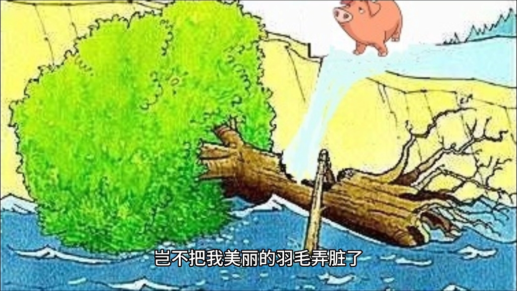 [图]小故事第一篇《孔雀和乌鸦》