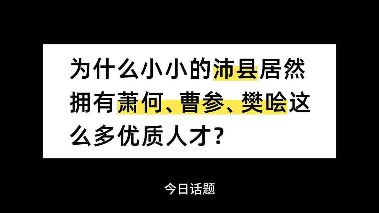 为什么小小的沛县居然拥有萧何、曹参、樊哙这么多优质人才?哔哩哔哩bilibili