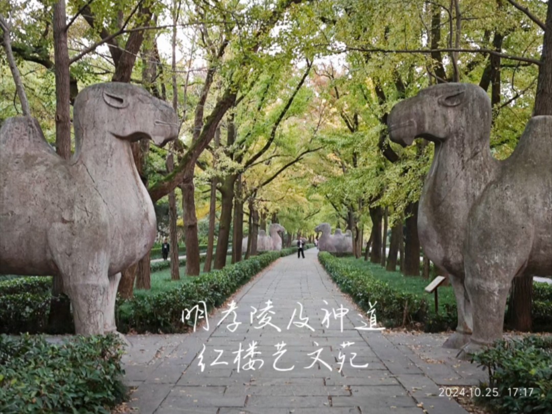 南京明孝陵神道,红楼艺文苑