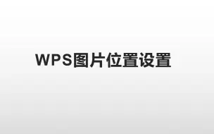 下载视频: wps图片位置设置