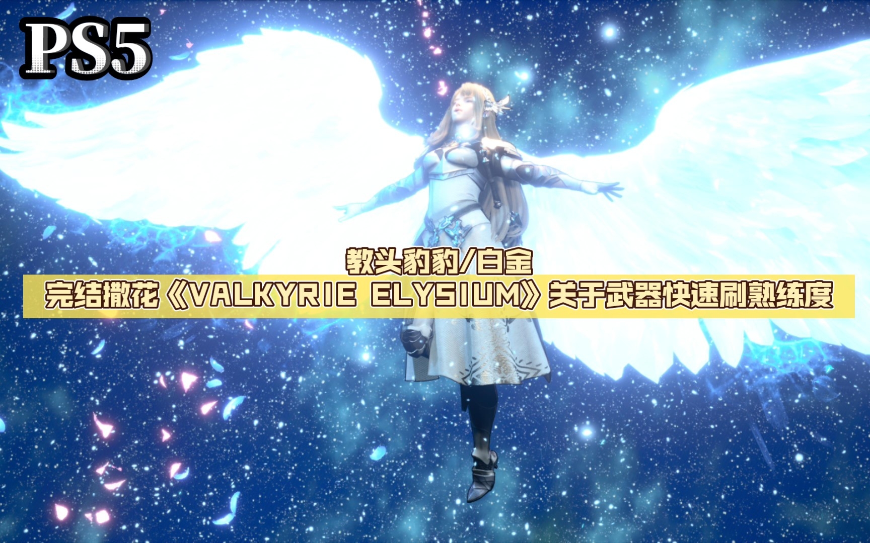 [图]教头豹豹/白金完结撒花《VALKYRIE ELYSIUM》关于武器快速刷熟练度