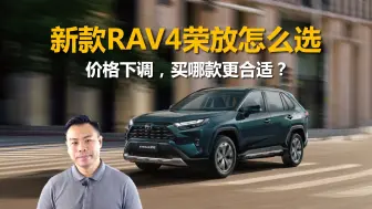 下载视频: 详解新款RAV4荣放怎么选，价格下调，哪款是更合适的选择