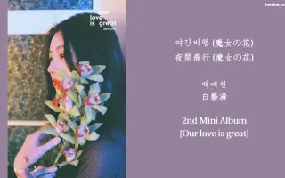 夜間飛行 哔哩哔哩 Bilibili