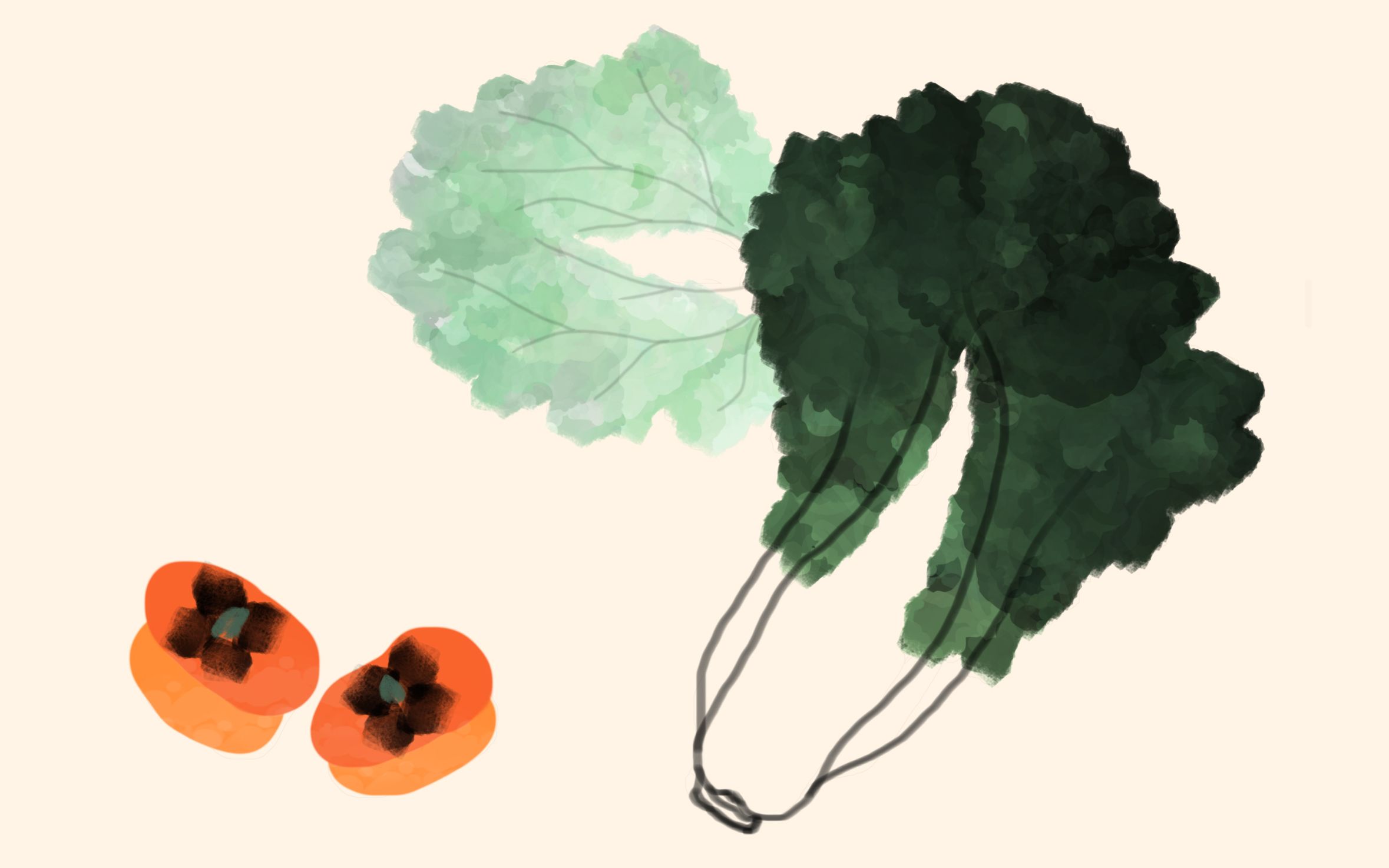 【双语国画】白菜02柿子92~零基础教程(带讲解)