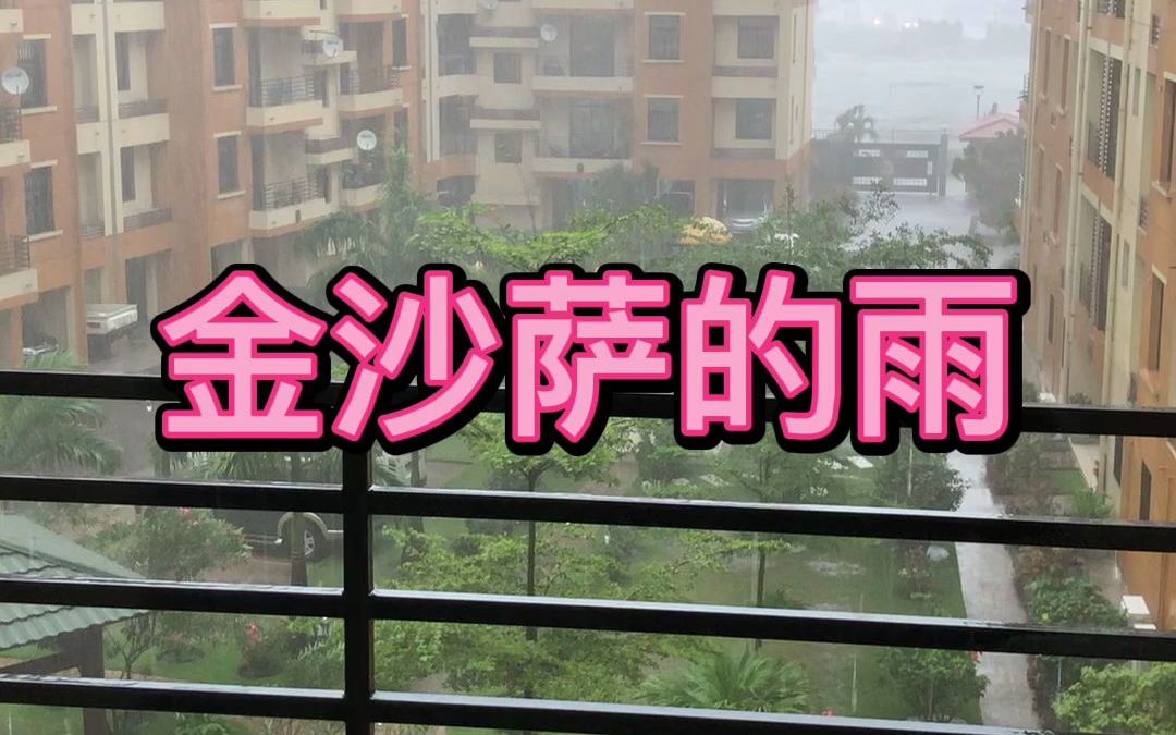 金沙萨的雨哔哩哔哩bilibili