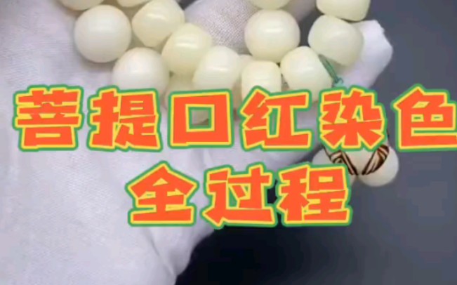 菩提根手串口红染色全过程!!【关注就送1.2白菩提根手串】哔哩哔哩bilibili