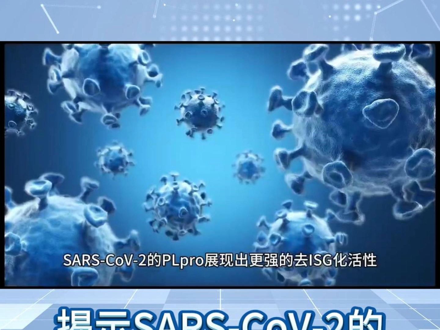 Journal of Virology丨揭示SARSCoV2的逃逸策略:新发现的蛋白酶如何避免宿哔哩哔哩bilibili