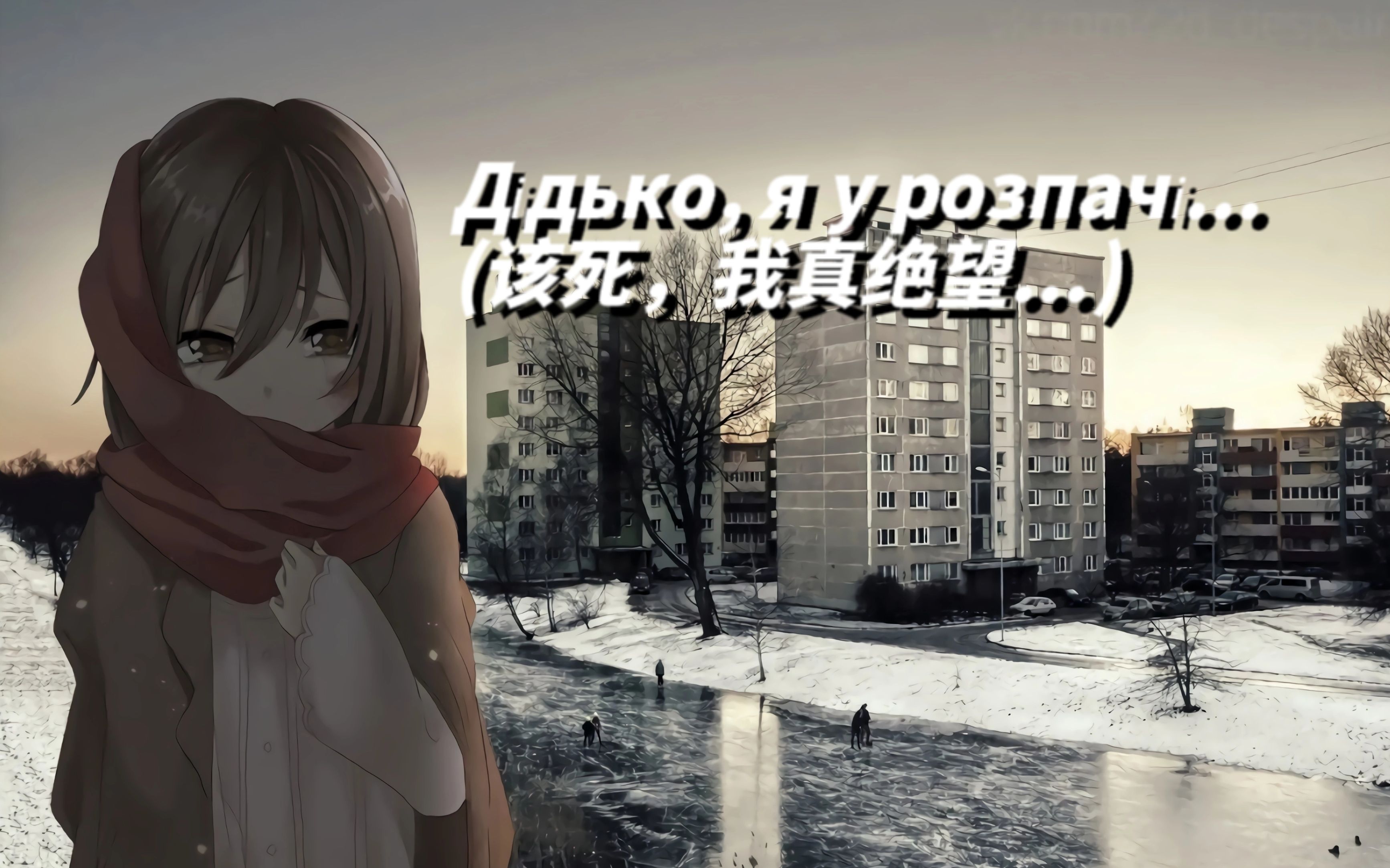 【doomer后朋克|乌语中字|自制】梦想如同旧日陨落