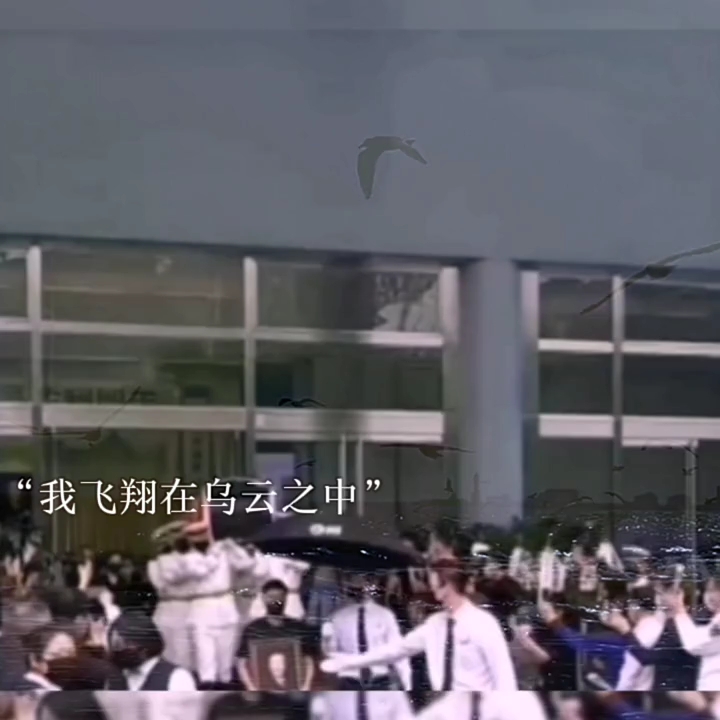 吴孟超(1922年8月31日2021年5月22日),福建闽清人,著名肝胆外科专家中国科学院院士,中国肝脏外科的开拓者和主要创始人之一,李庄同济医院终身...