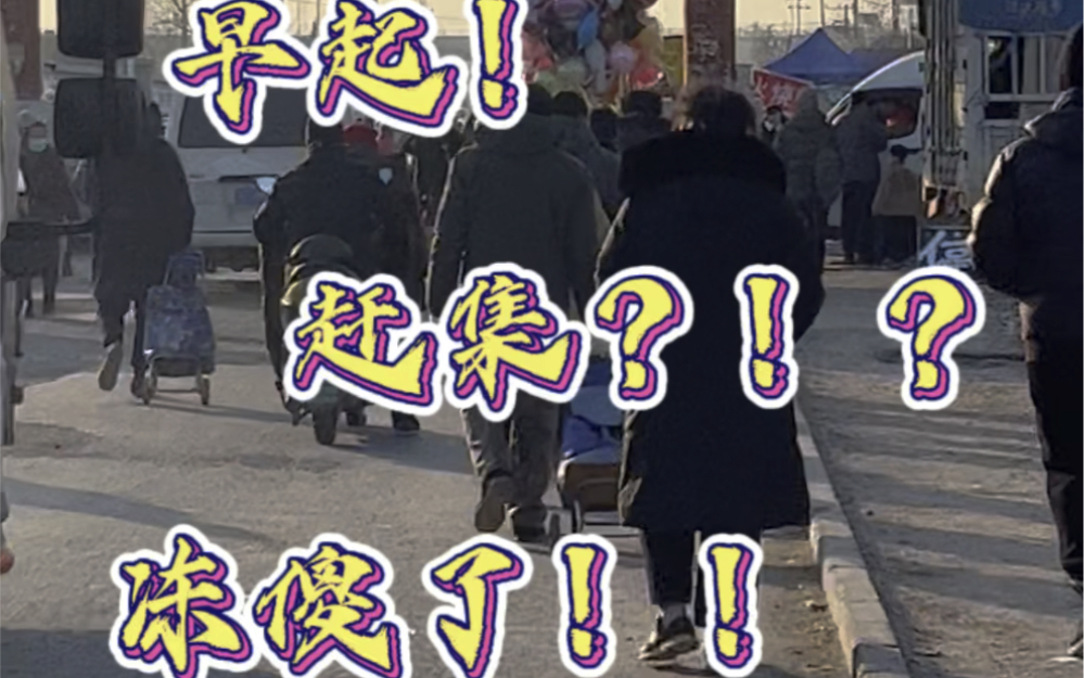 第一次赶大集丨北京赶集丨大韩继大集丨20240127