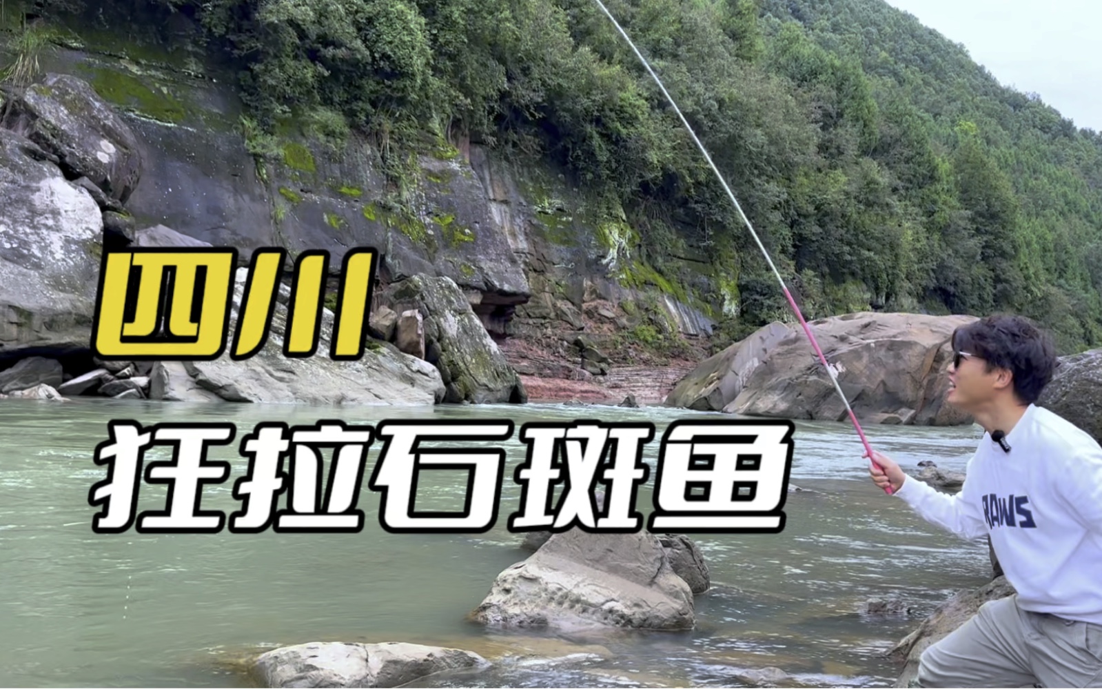 四川这条小溪里野生石斑鱼泛滥成灾,下竿就能中鱼,新手也能爆护哔哩哔哩bilibili