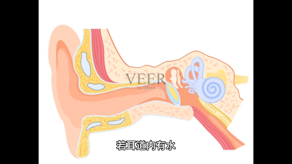 助听器的日常使用注意:防潮在洗脸、洗澡、洗头前,先取下助听器;若耳道内有水,请先擦干耳道内的积水后再佩戴助听器.助听器日常不使用助听器时...