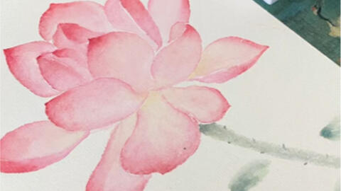 晚霞和花(水彩画) 晚霞和花(水彩画)