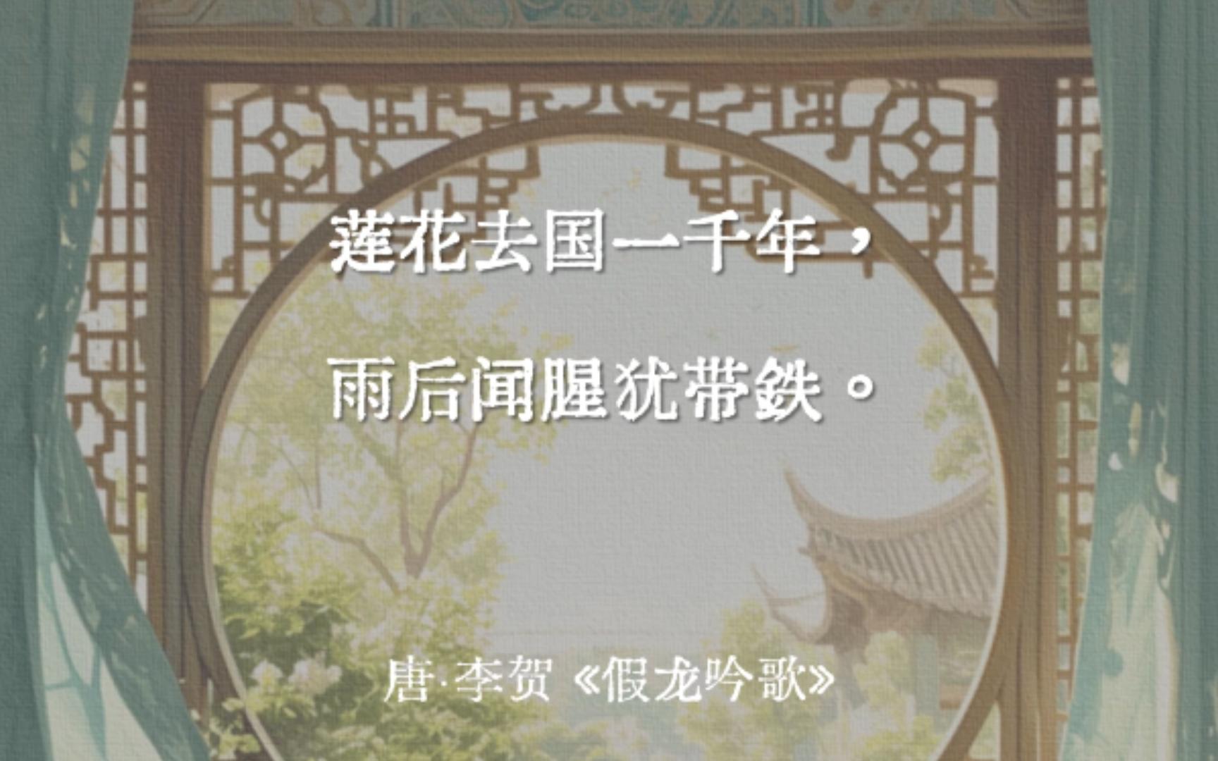 “九万里中鲲自化,一千年外鹤仍归.” | 诗词里有哪些动人心魄的「一千年」?哔哩哔哩bilibili