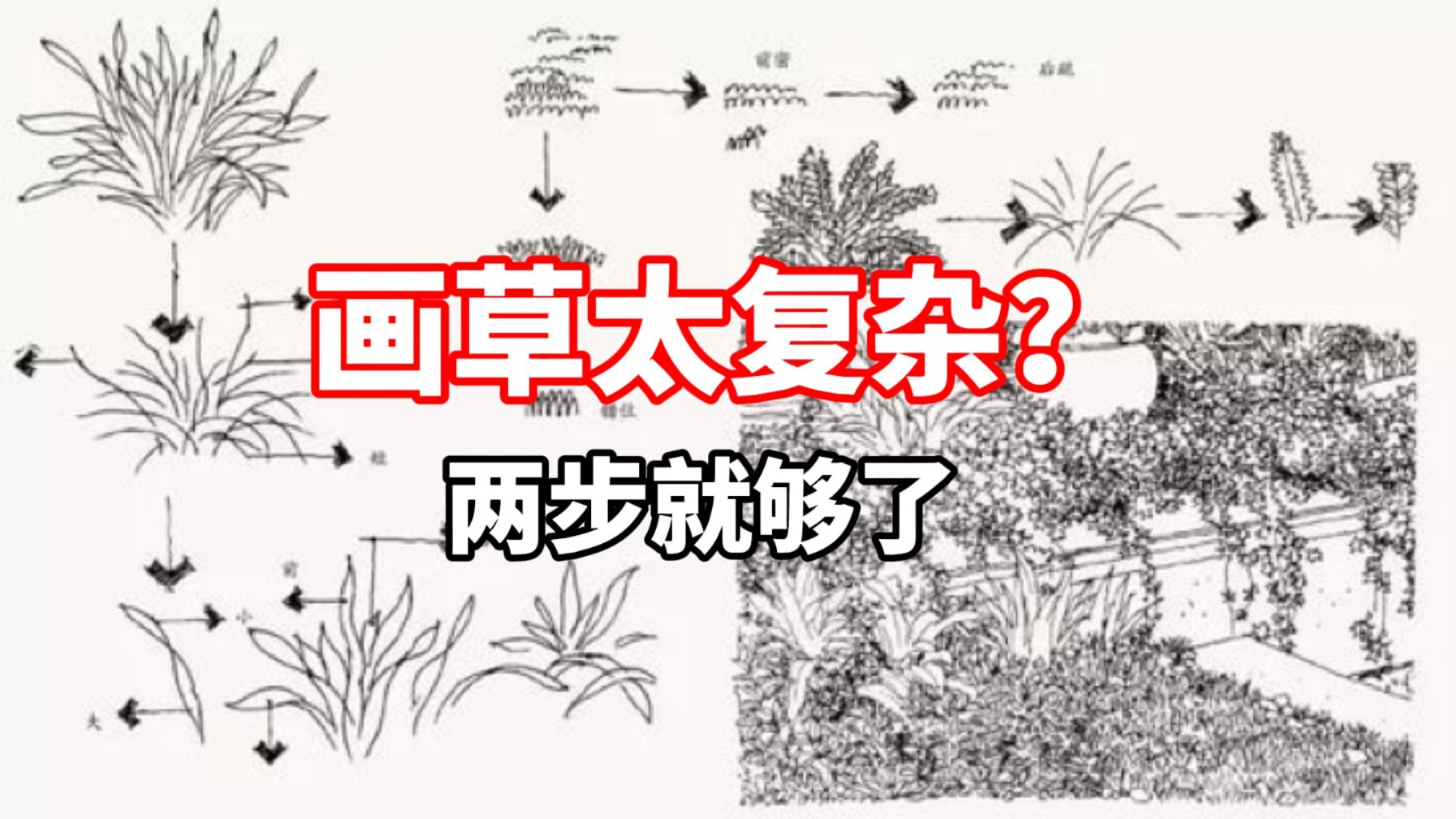 风景中草怎么画? 零基础钢笔速写教程哔哩哔哩bilibili