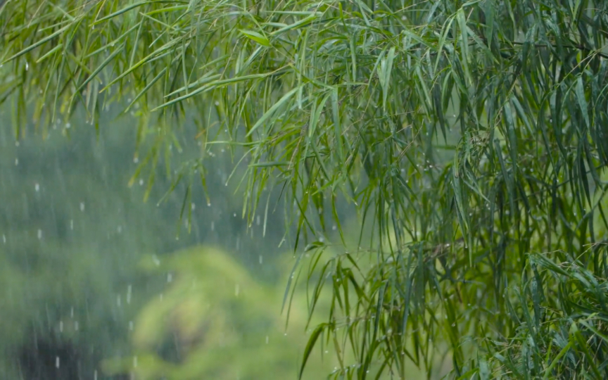 [图]【助眠】风景素材分享——雨天（无水印可自取）