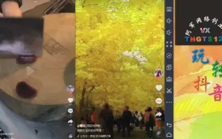 抖音短视频新手制作教程