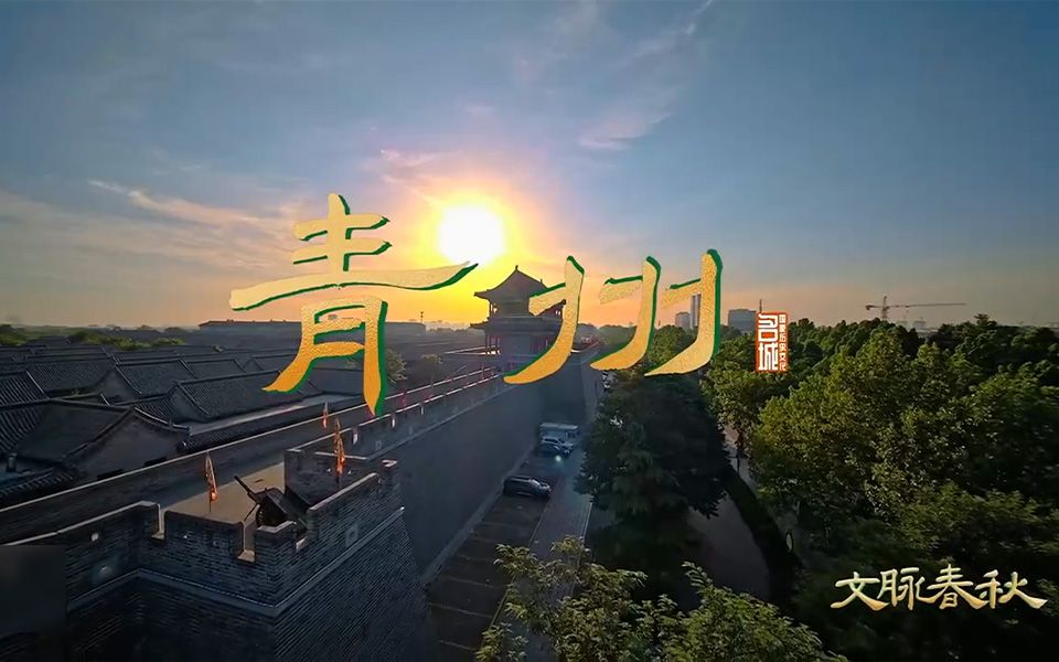 央视综合频道(CCTV1)《文脉春秋》走进“海岱”青州!哔哩哔哩bilibili