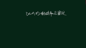 哔哩哔哩