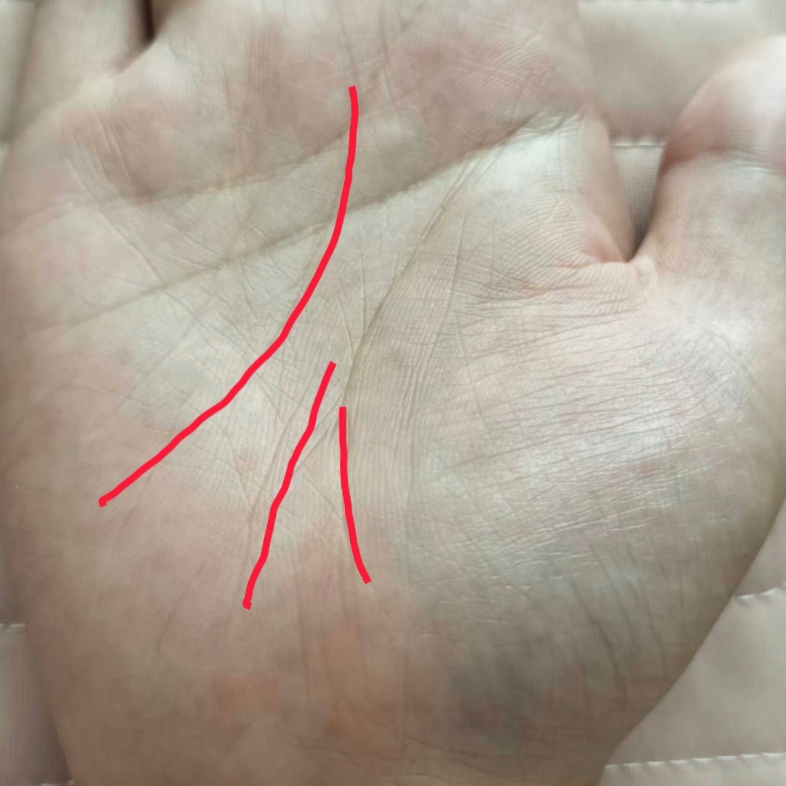 事业线有三条,纹路方向比较好,投资机会多,副业多,选择多