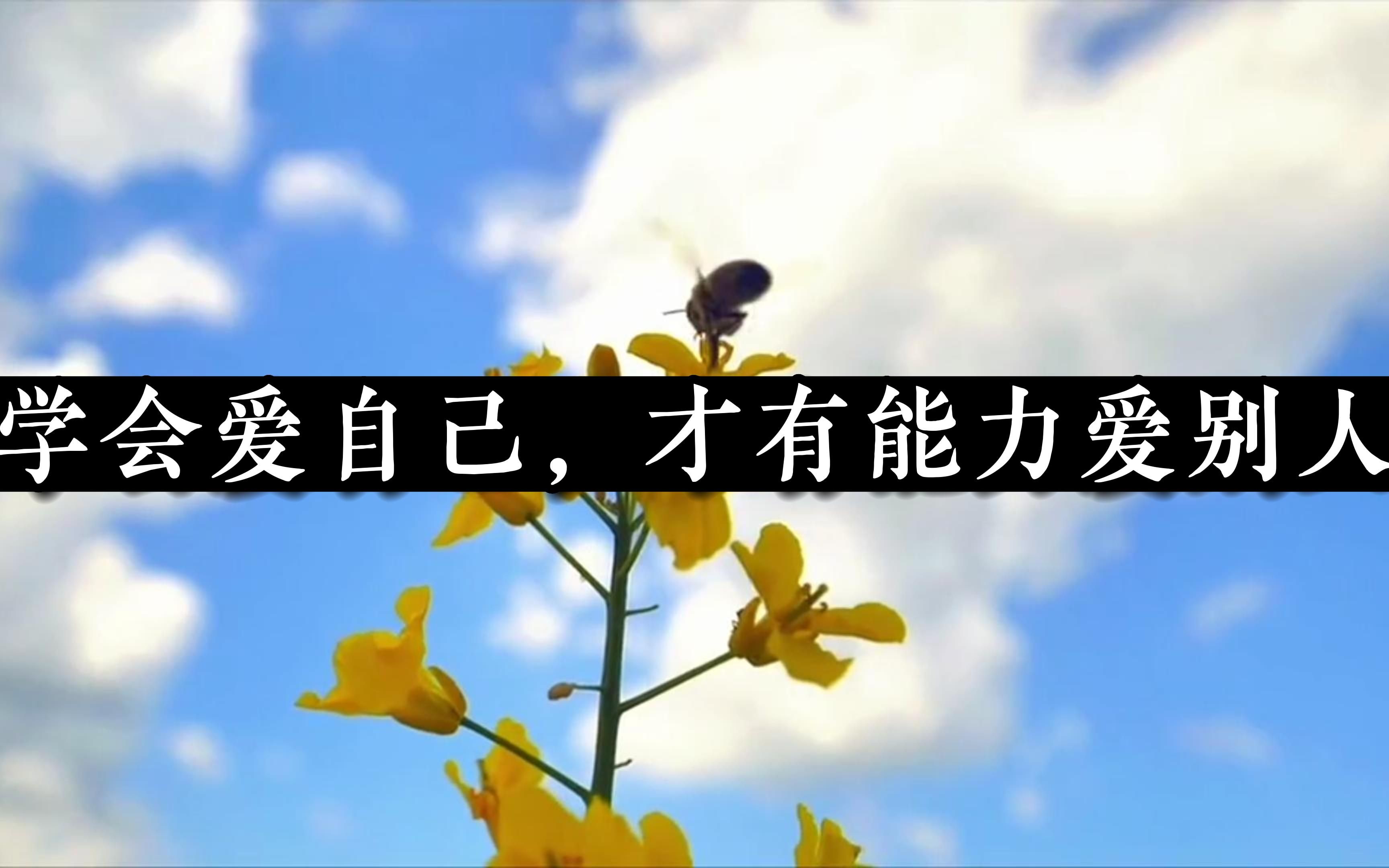 「夜读」学会爱自己,才有能力爱别人.