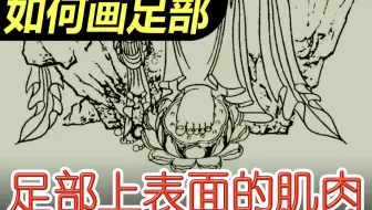 足部上表面有哪些肌肉？_如何画足部08