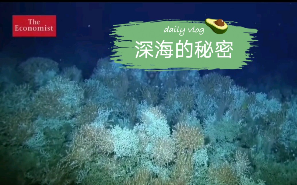 Secrets of the deep ocean | The Economist经济学人(双语字幕)哔哩哔哩bilibili