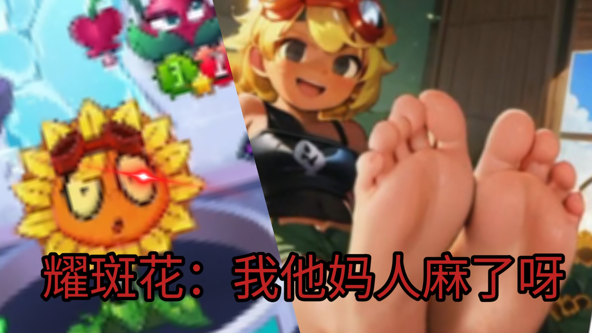 耀斑花:我他妈人麻了呀!(结尾有彩蛋)
