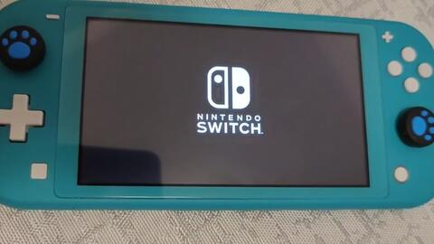 799出一台switchlite游戏机_哔哩哔哩_bilibili