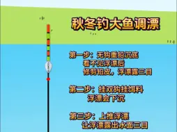 下载视频: 秋冬钓大鱼调漂方法