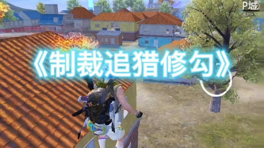 和平精英电报员是什么_和平精英信号枪有什么用?