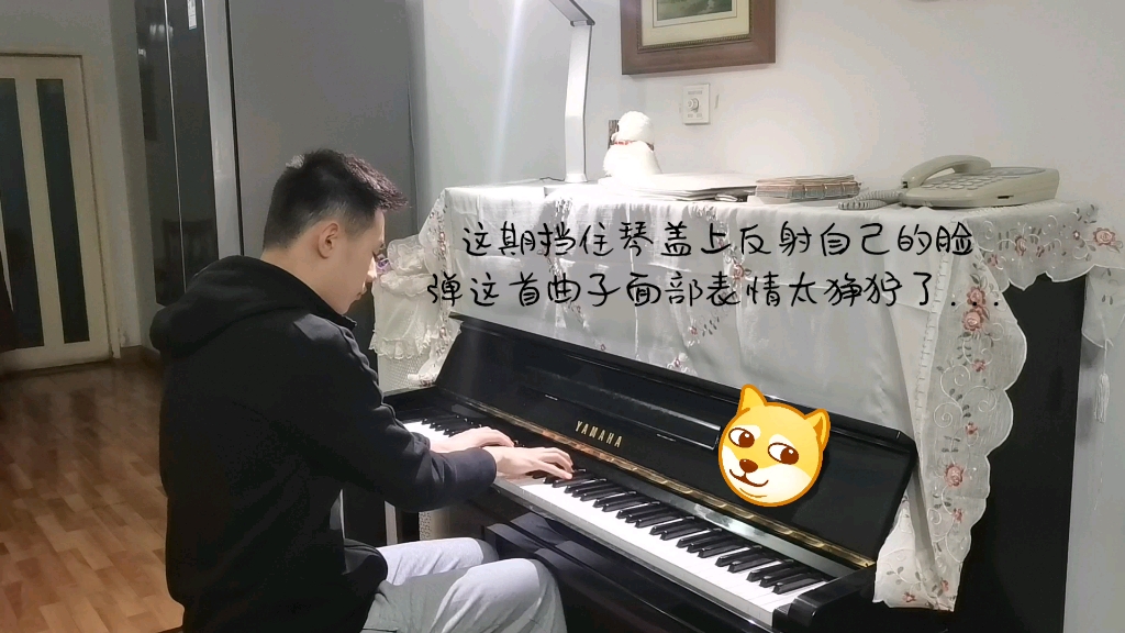 拉赫玛尼诺夫音画练习曲op39.5哔哩哔哩bilibili