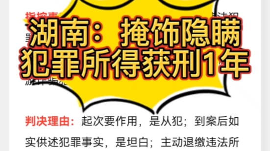 湖南:掩饰隐瞒犯罪所得获刑1年哔哩哔哩bilibili