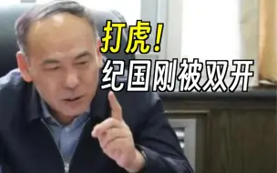 Tải video: 打虎！西藏自治区人大常委会原副主任纪国刚被双开