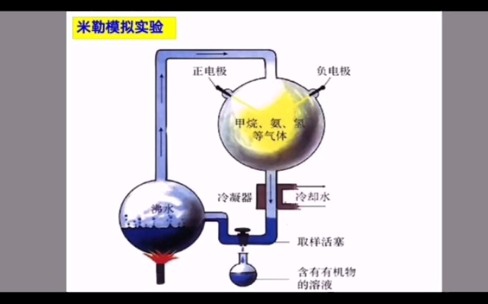 生命的起源 化学进化论 米勒模拟实验哔哩哔哩bilibili