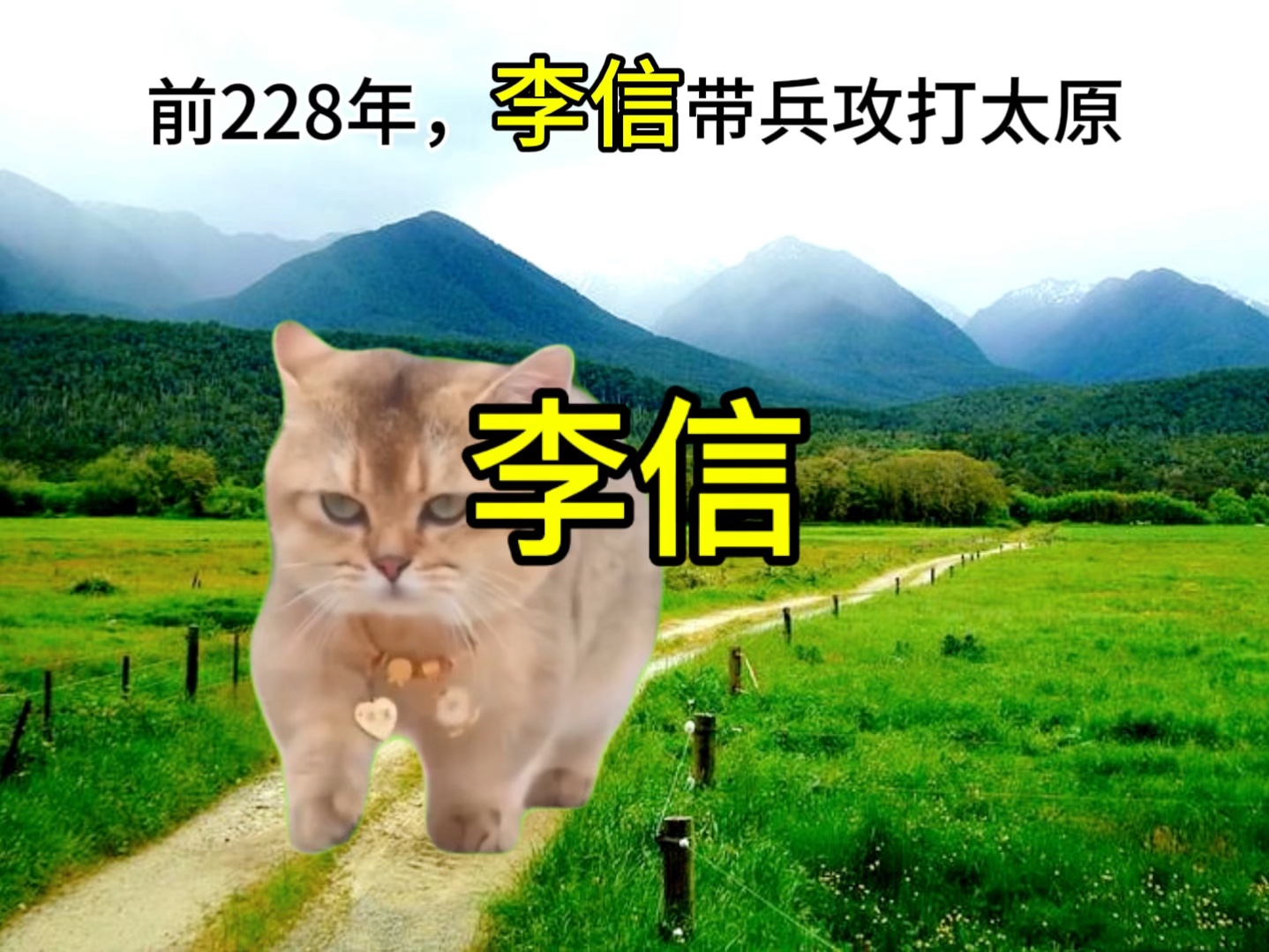 [图]猫meme说历史：李信