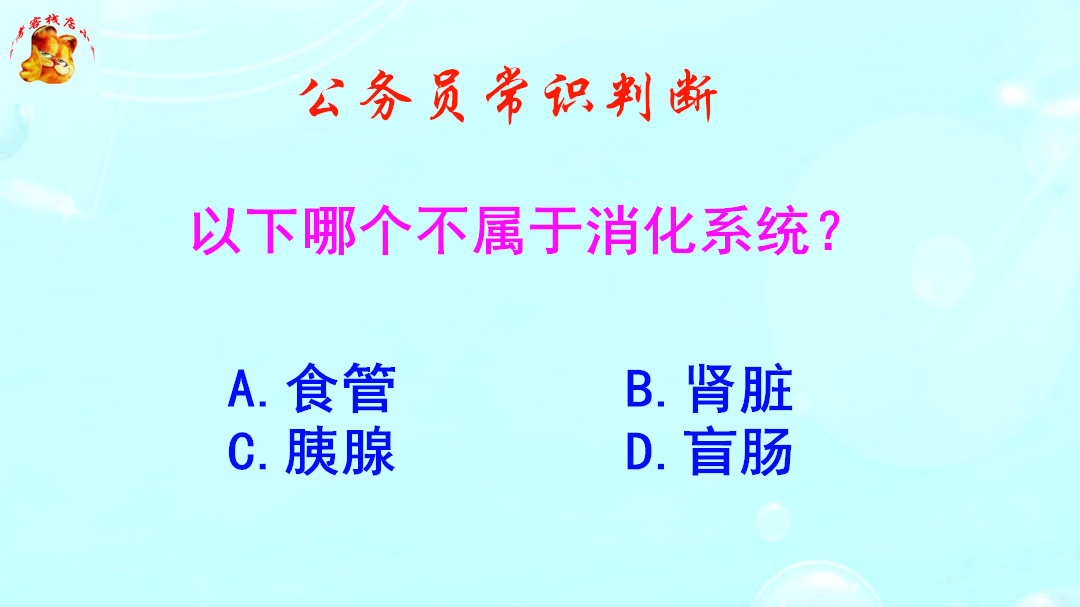 公务员常识判断,以下哪个不属于消化系统?难不倒学医的哔哩哔哩bilibili