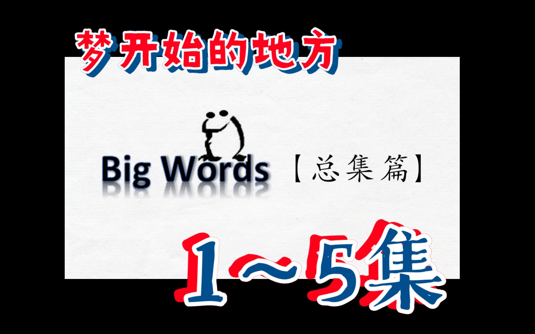 【Big Words】高级英语词汇讲座总集篇 (15)哔哩哔哩bilibili