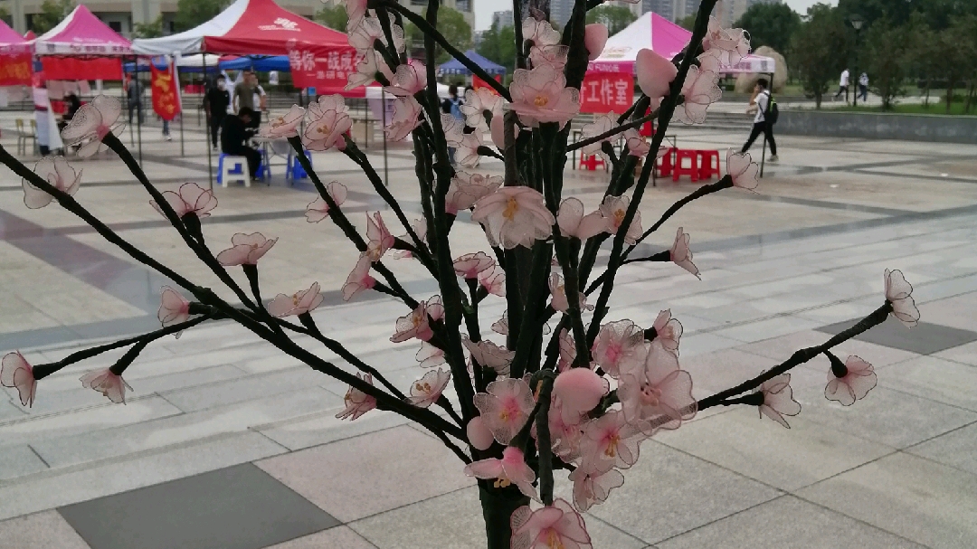 黄冈师范学院哔哩哔哩bilibili