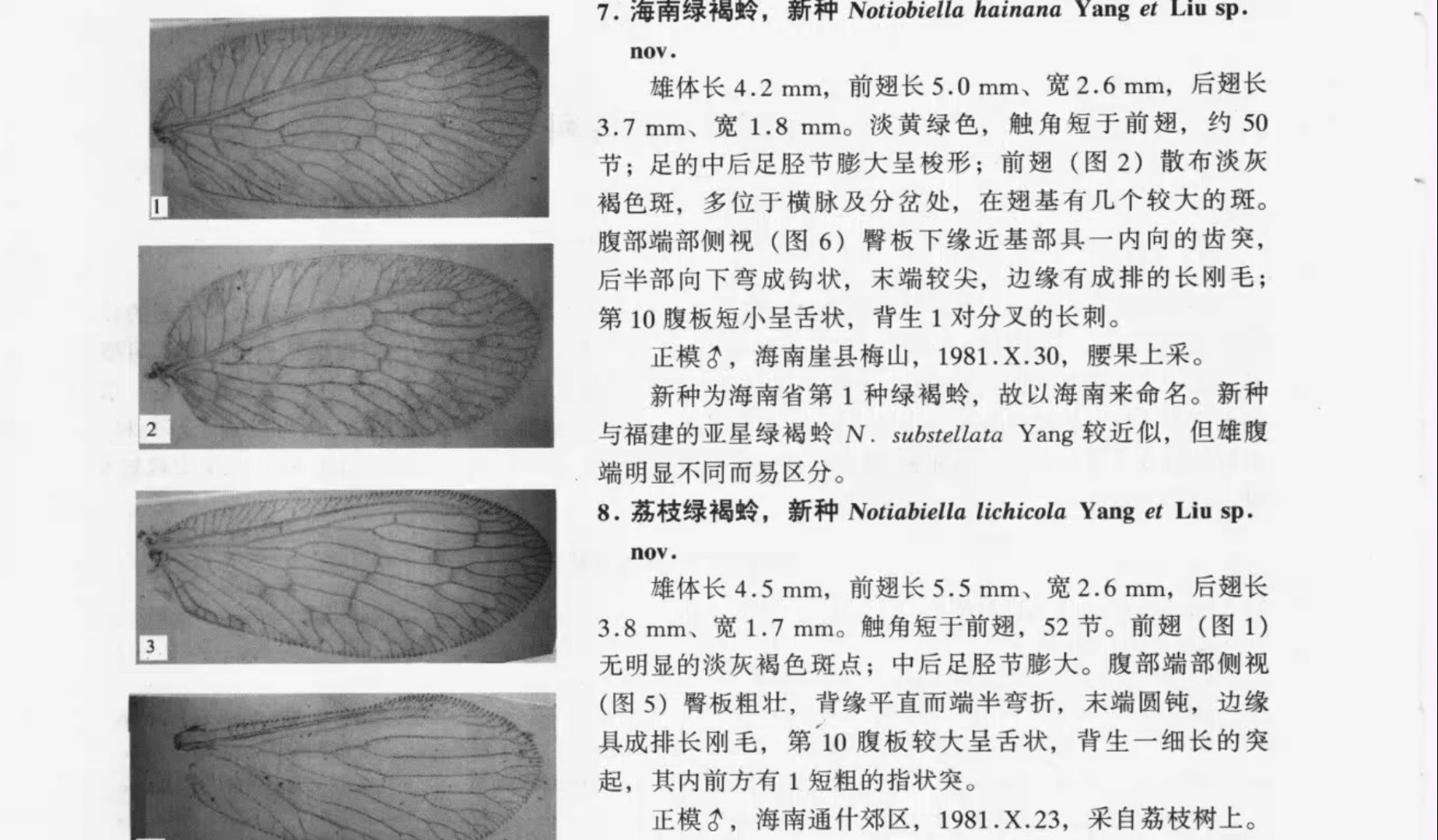 【海南森林昆虫】201~400