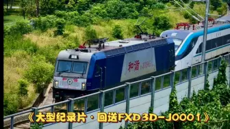 Download Video: 【4K·国铁】复兴号CR220J FXD3D-J0001 由00107次 本务：HXD3C0995回送