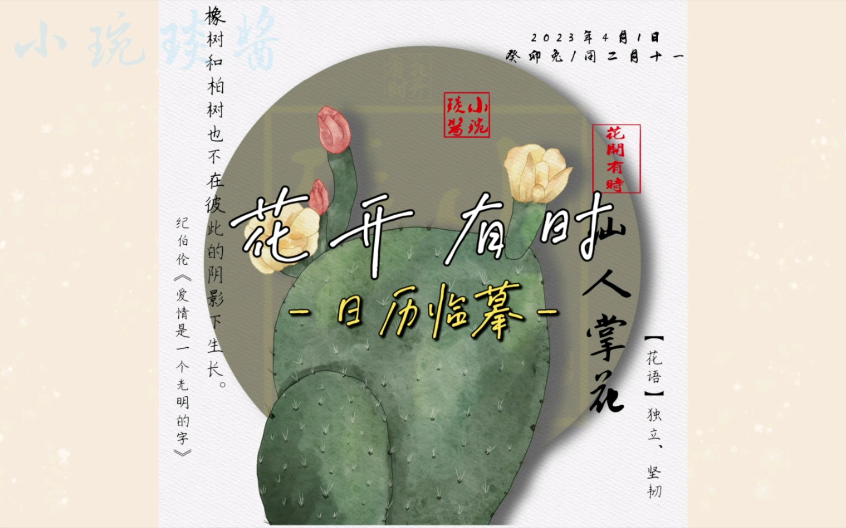 【花开有时】仙人掌花哔哩哔哩bilibili