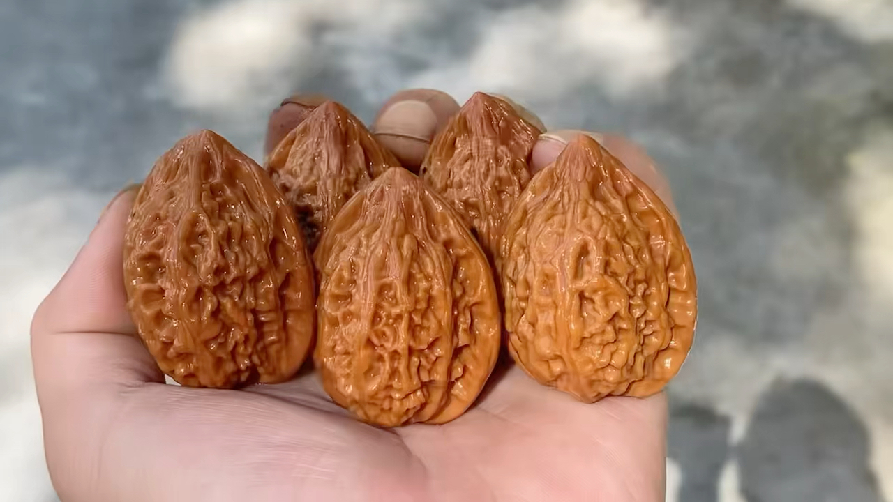 秦岭野生麻核桃!克重打手,出对率高,2100个左右,打包来聊!
