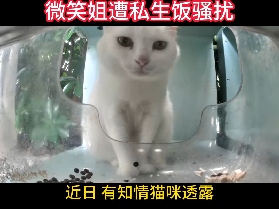 微笑姐惨遭私生饭骚扰!