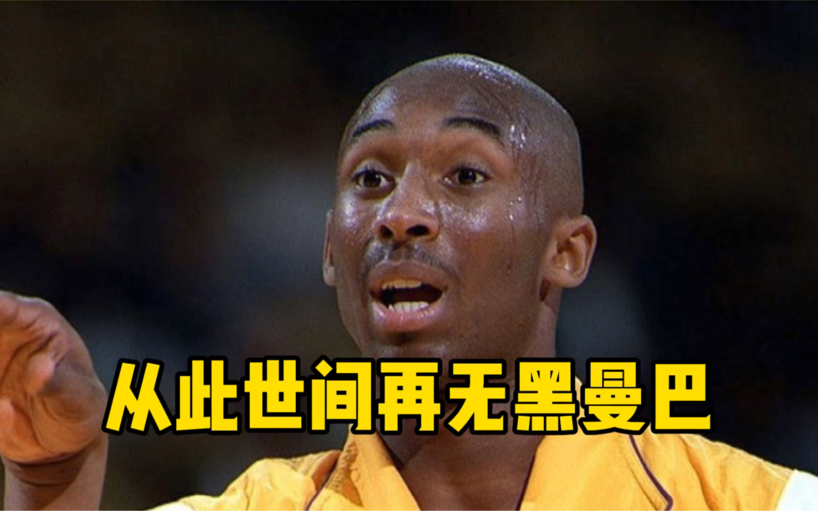 从此世间再无黑曼巴