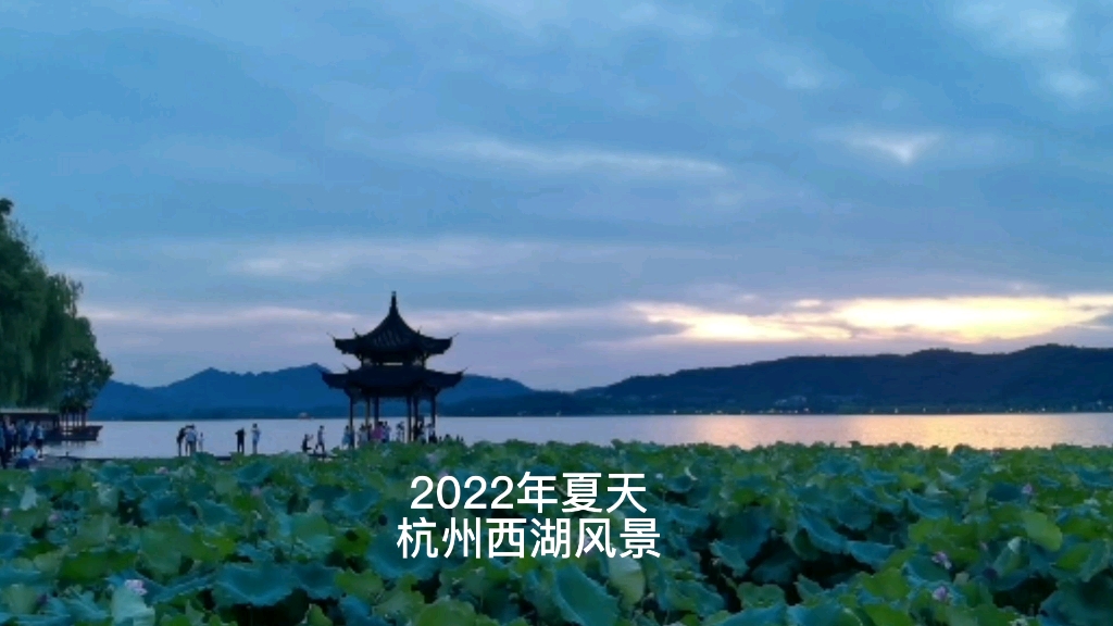 2022年夏天杭州西湖哔哩哔哩bilibili