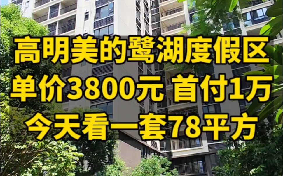 高明美的鹭湖度假区,单价3800元带精装,首付1万,今天看一套78平方两房.#湖山原筑 #欧浦花城 #高明国际机场哔哩哔哩bilibili