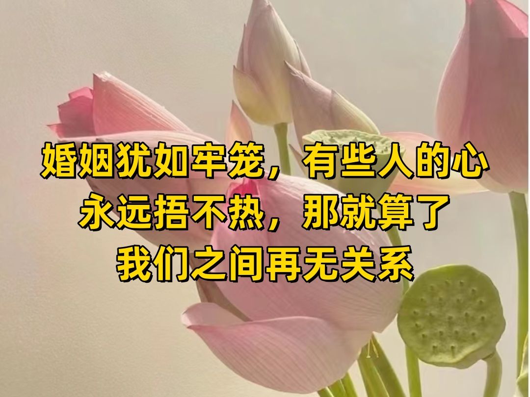 [图]婚姻犹如牢笼，有些人的心永远捂不热，那就算了