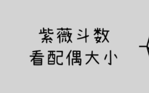 如何从紫微斗数中看出配偶的年龄比自己大或者小哔哩哔哩bilibili